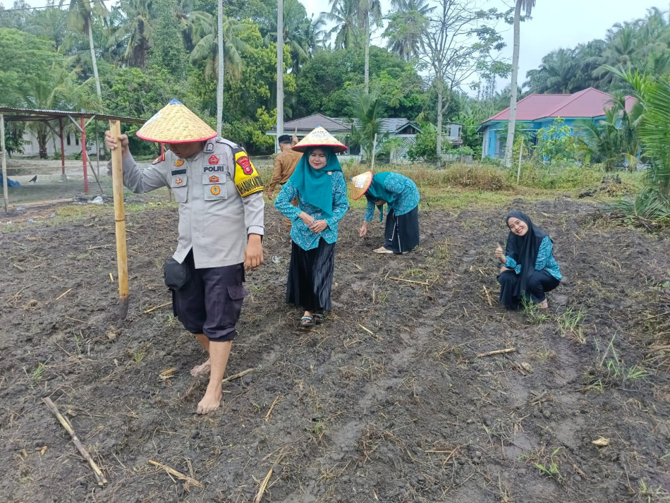 Polsek Kunto Darussalam Bersama Warga Tanam Jagung, Dukung Ketahanan Pangan Nasional