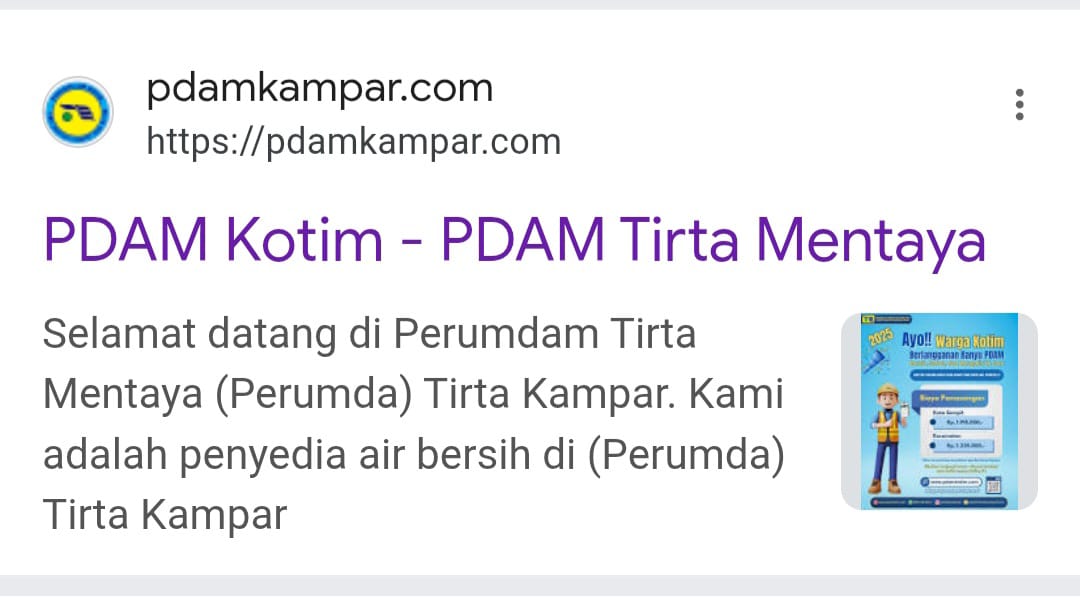 Website Palsu atau Salah Kelola? PDAM Kampar Tegaskan Tak Pernah Anggarkan Domain
