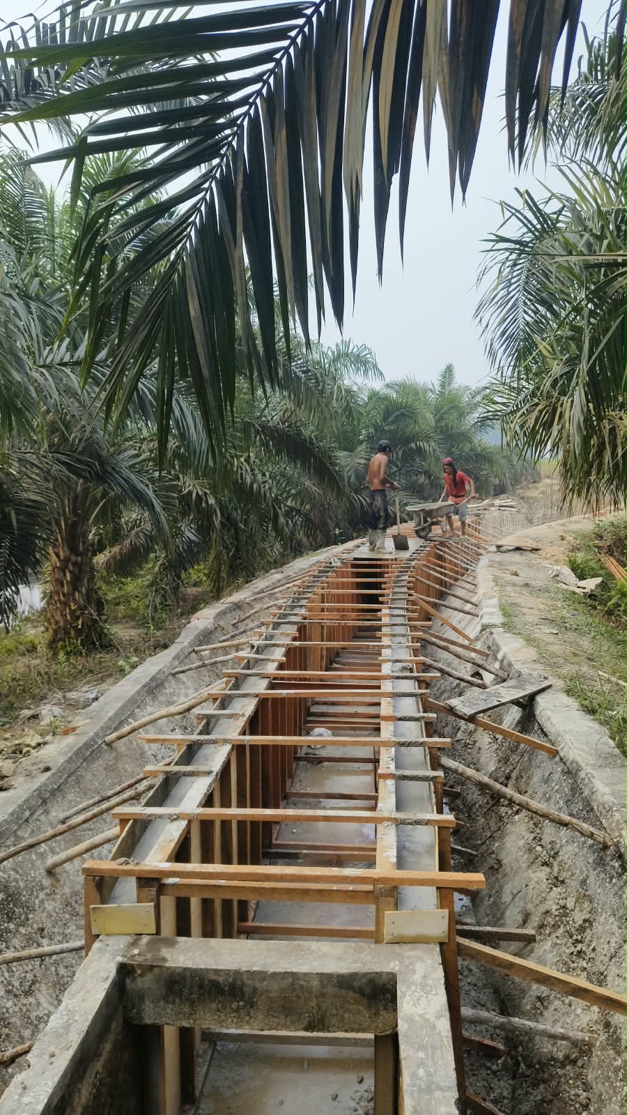 Petani Pulau Birandang Apresiasi Perhatian Wabup Misharti terhadap Rehabilitasi Irigasi Sasapan II